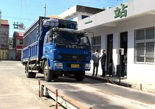 金湖縣秋糧收購(gòu)現(xiàn)場(chǎng) 地磅秤正在工作